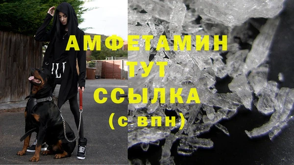 гидра Алзамай