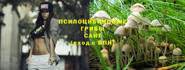 дурь Алексеевка