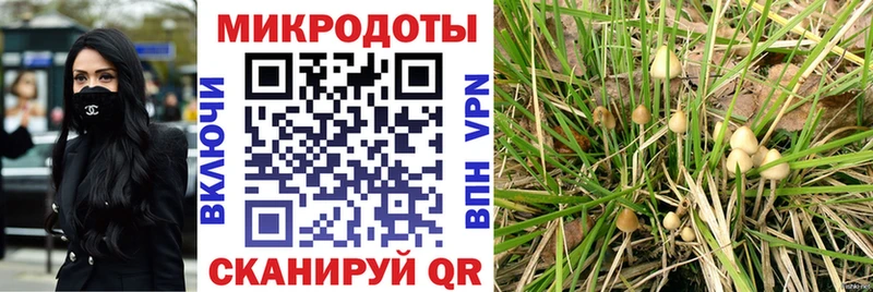 закладки  Лобня  kraken зеркало  Псилоцибиновые грибы Magic Shrooms 